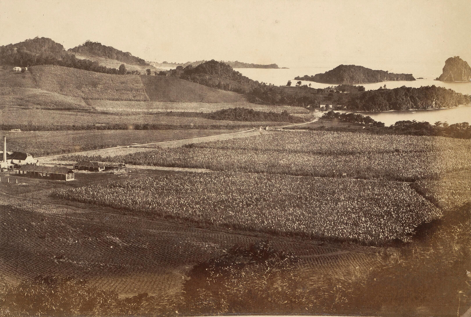 Views towards Fort Duvernette from Sion Hill in 1880 over Arnos Vale Estate with sugar factory